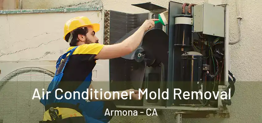  Air Conditioner Mold Removal Armona - CA