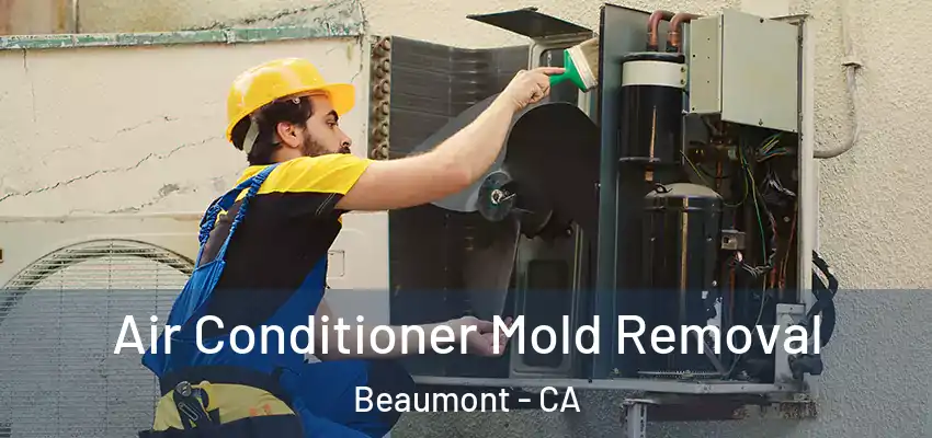  Air Conditioner Mold Removal Beaumont - CA