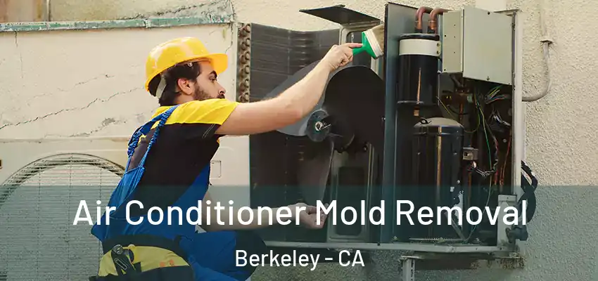 Air Conditioner Mold Removal Berkeley - CA