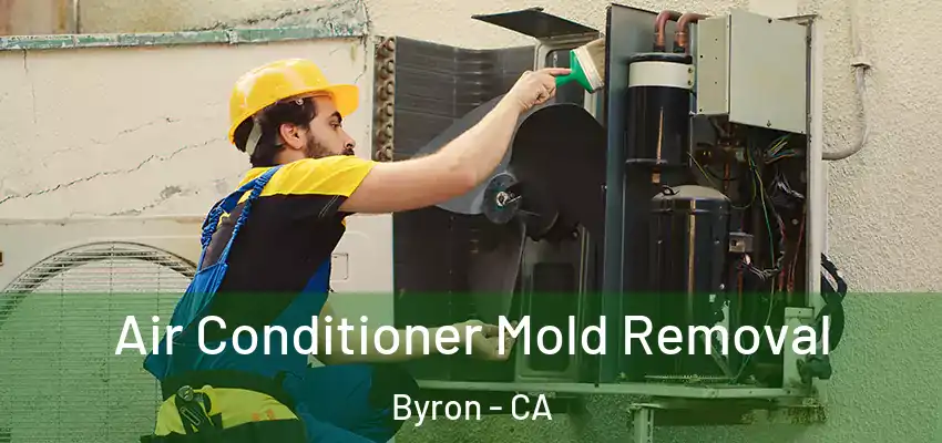  Air Conditioner Mold Removal Byron - CA