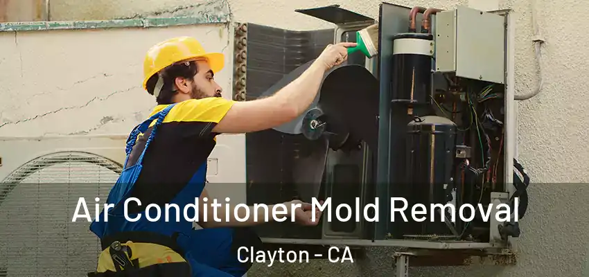  Air Conditioner Mold Removal Clayton - CA