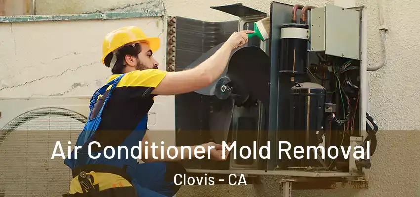  Air Conditioner Mold Removal Clovis - CA