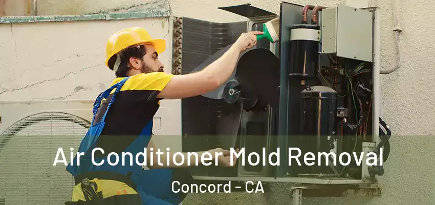  Air Conditioner Mold Removal Concord - CA