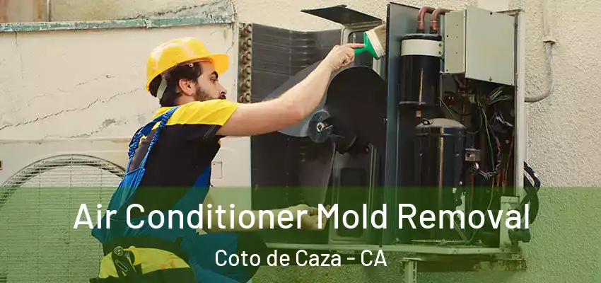  Air Conditioner Mold Removal Coto de Caza - CA