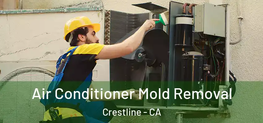  Air Conditioner Mold Removal Crestline - CA