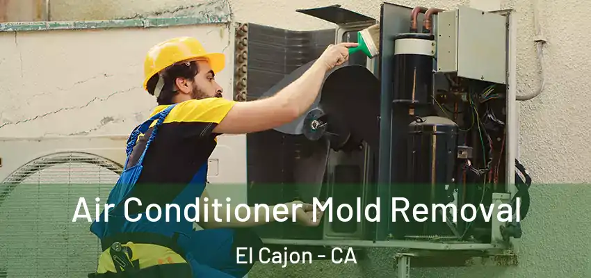  Air Conditioner Mold Removal El Cajon - CA