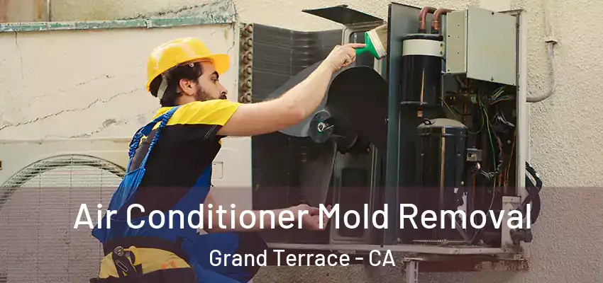  Air Conditioner Mold Removal Grand Terrace - CA