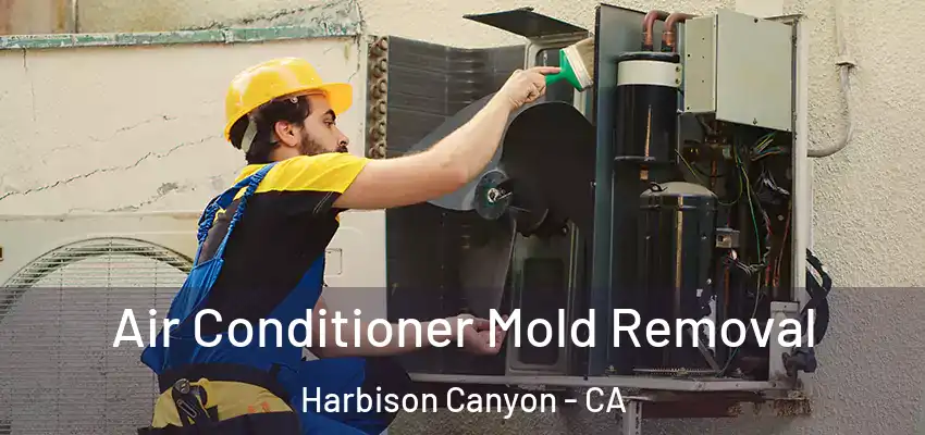  Air Conditioner Mold Removal Harbison Canyon - CA