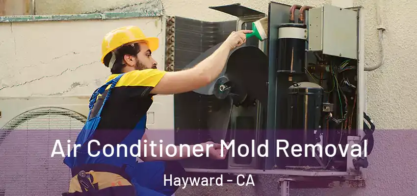  Air Conditioner Mold Removal Hayward - CA