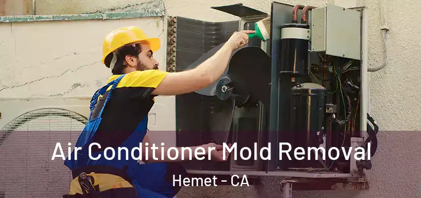  Air Conditioner Mold Removal Hemet - CA