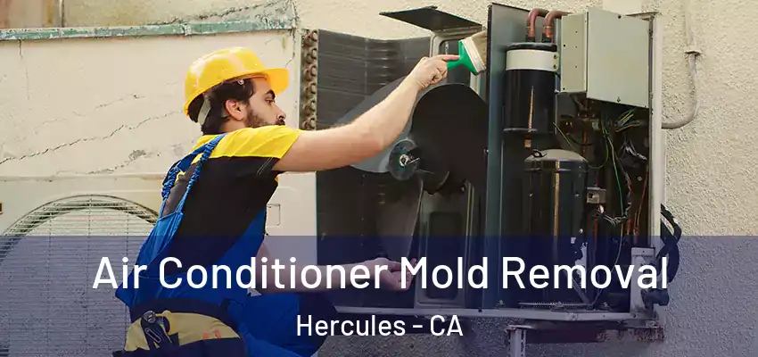  Air Conditioner Mold Removal Hercules - CA