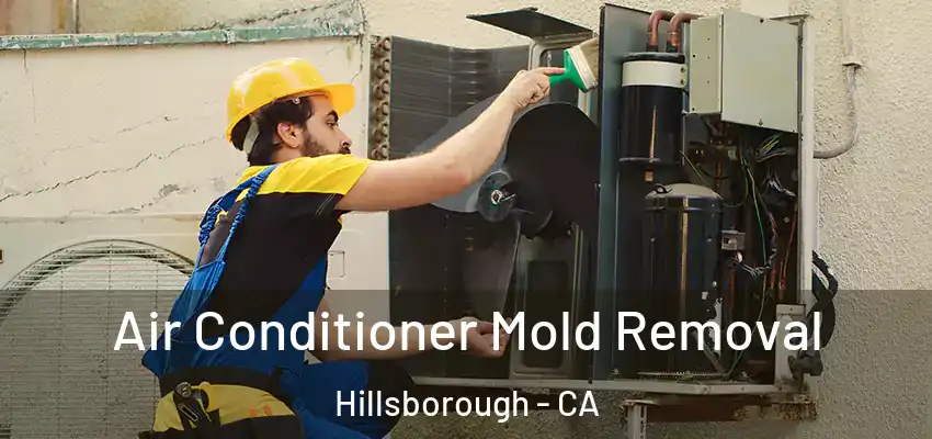  Air Conditioner Mold Removal Hillsborough - CA