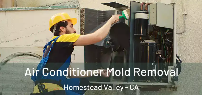  Air Conditioner Mold Removal Homestead Valley - CA