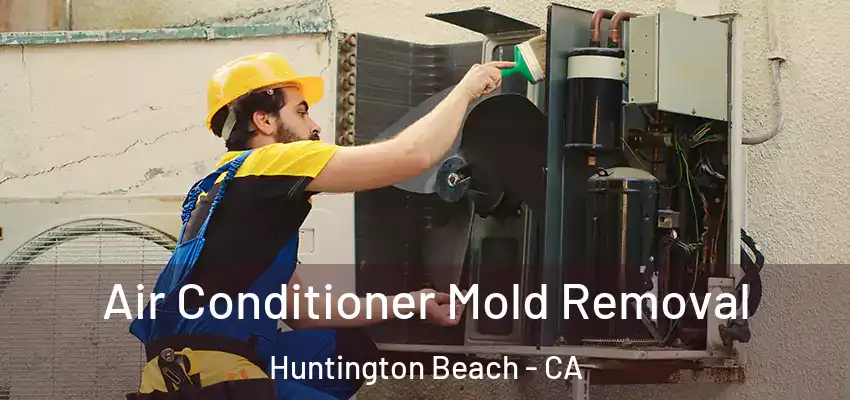  Air Conditioner Mold Removal Huntington Beach - CA