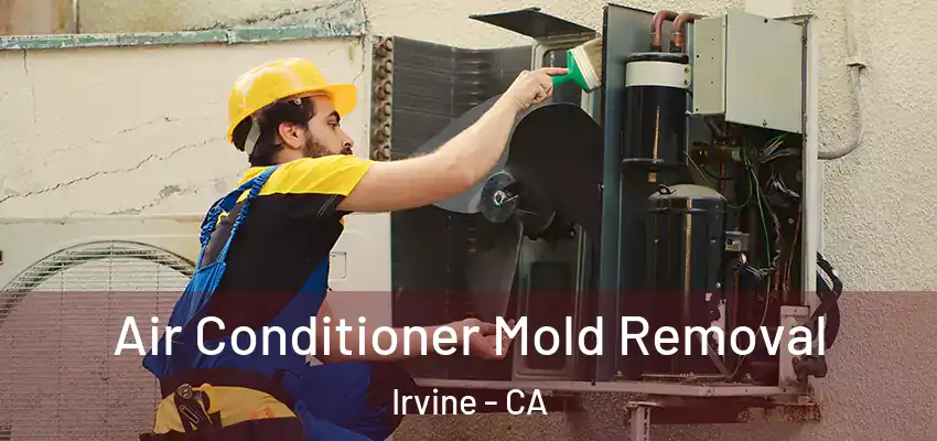  Air Conditioner Mold Removal Irvine - CA