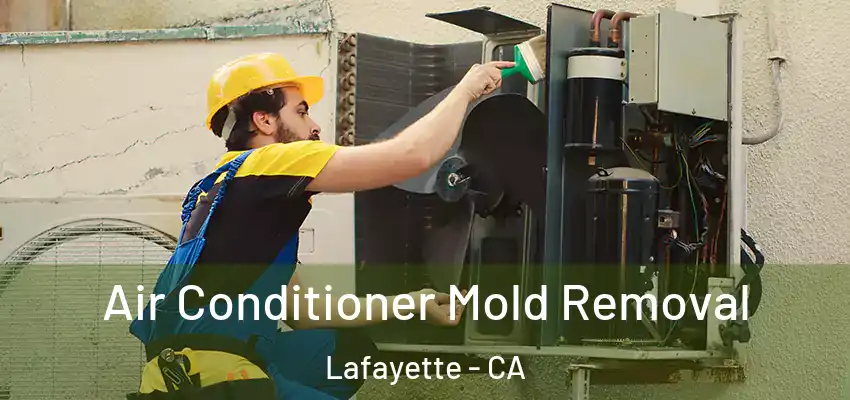  Air Conditioner Mold Removal Lafayette - CA