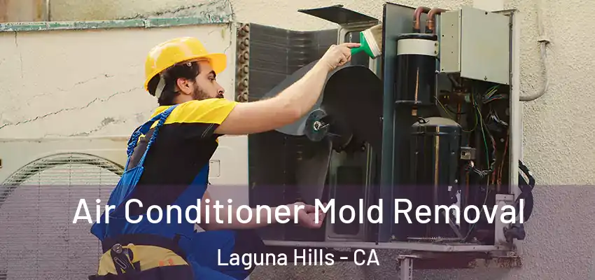  Air Conditioner Mold Removal Laguna Hills - CA