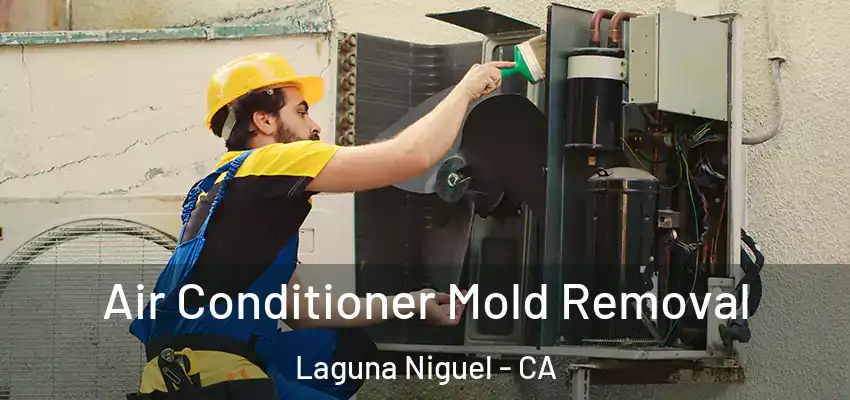  Air Conditioner Mold Removal Laguna Niguel - CA