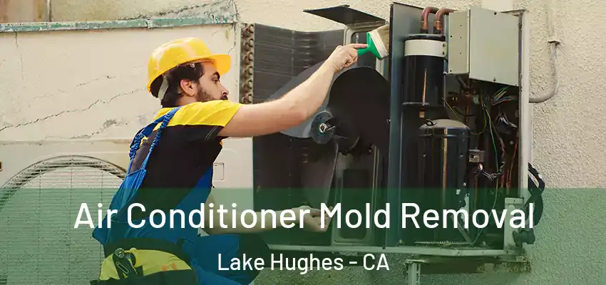 Air Conditioner Mold Removal Lake Hughes - CA