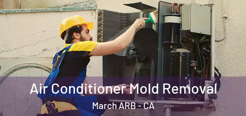  Air Conditioner Mold Removal March ARB - CA
