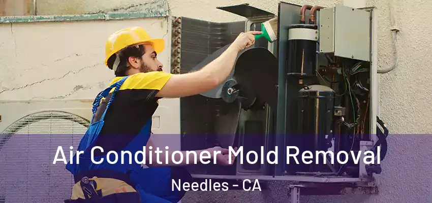  Air Conditioner Mold Removal Needles - CA