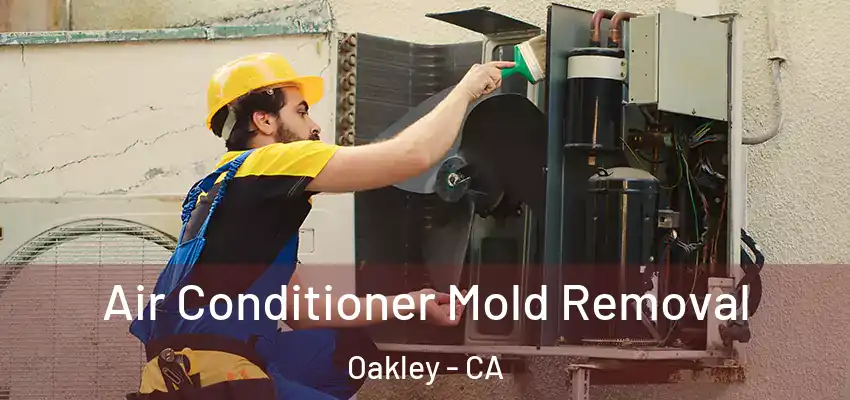  Air Conditioner Mold Removal Oakley - CA