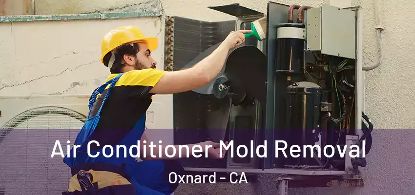  Air Conditioner Mold Removal Oxnard - CA