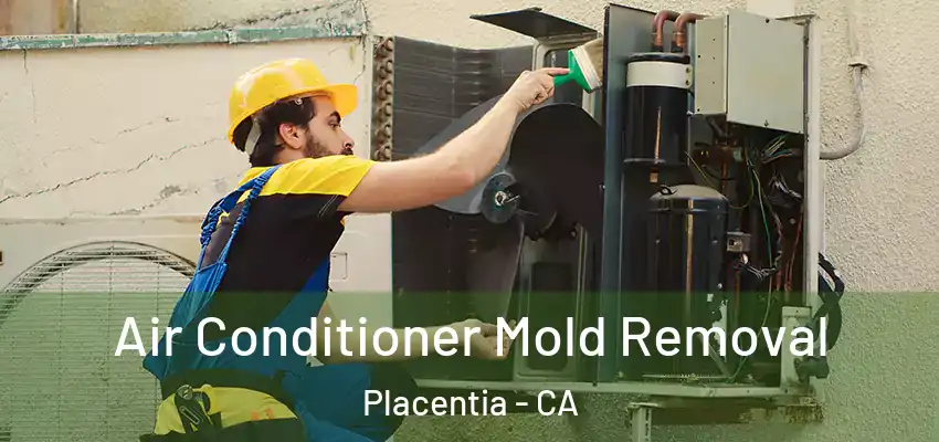  Air Conditioner Mold Removal Placentia - CA