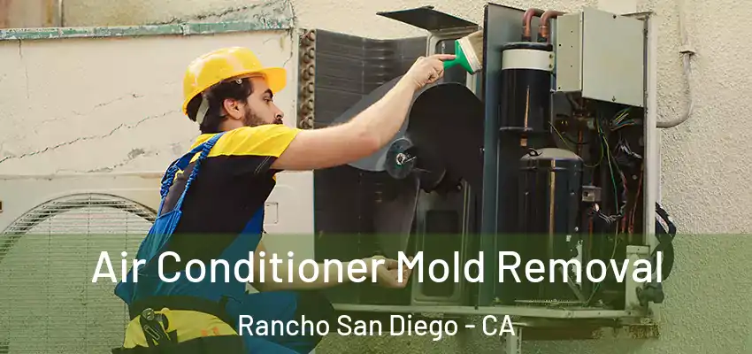  Air Conditioner Mold Removal Rancho San Diego - CA