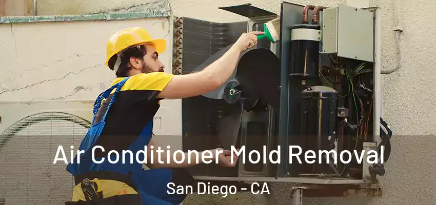  Air Conditioner Mold Removal San Diego - CA