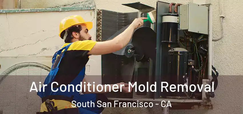  Air Conditioner Mold Removal South San Francisco - CA