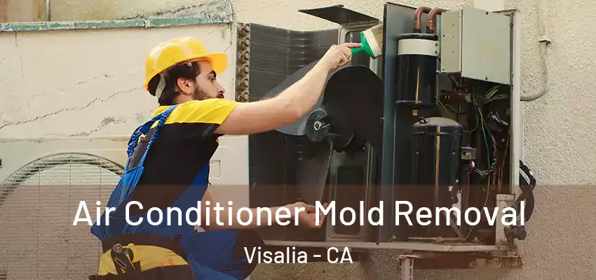  Air Conditioner Mold Removal Visalia - CA