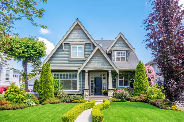 Black Mold Clean Up in Hesperia, CA