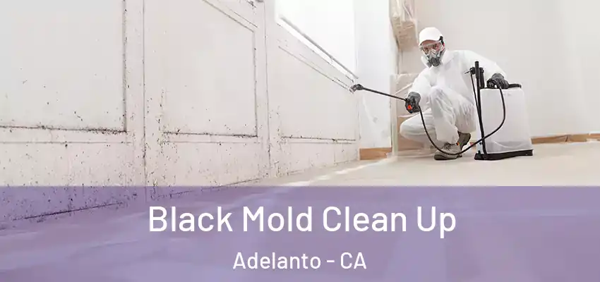  Black Mold Clean Up Adelanto - CA