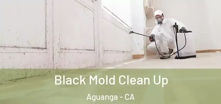  Black Mold Clean Up Aguanga - CA