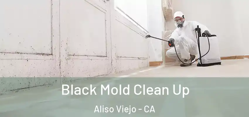  Black Mold Clean Up Aliso Viejo - CA