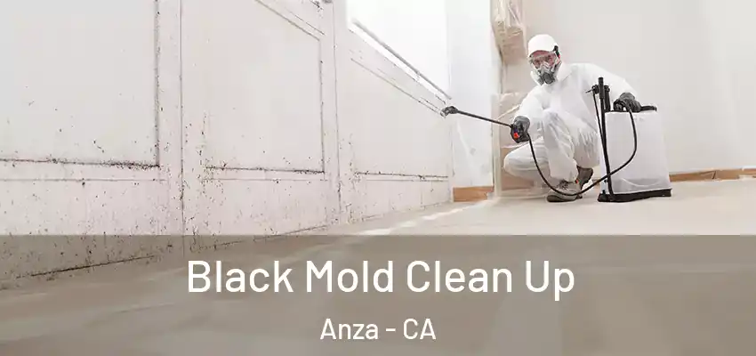 Black Mold Clean Up Anza - CA