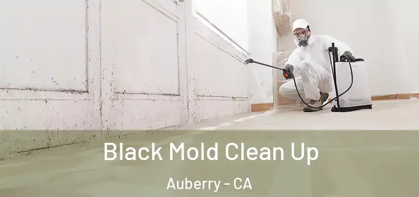  Black Mold Clean Up Auberry - CA
