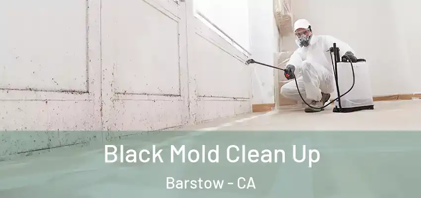  Black Mold Clean Up Barstow - CA