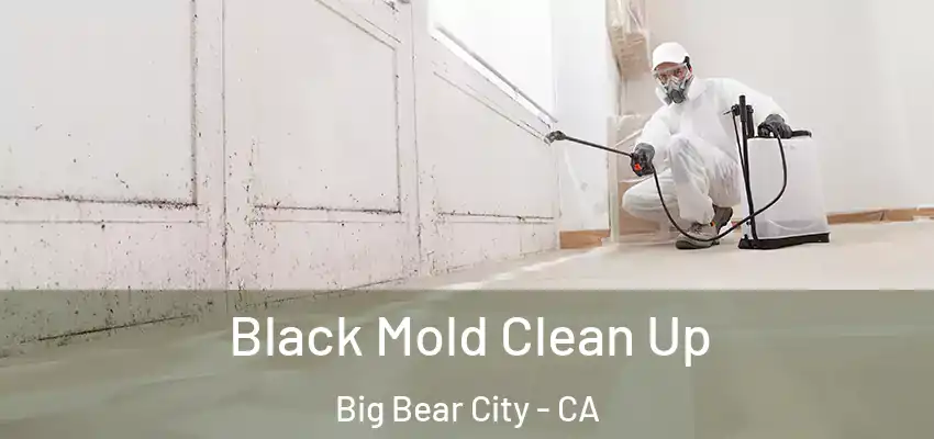  Black Mold Clean Up Big Bear City - CA