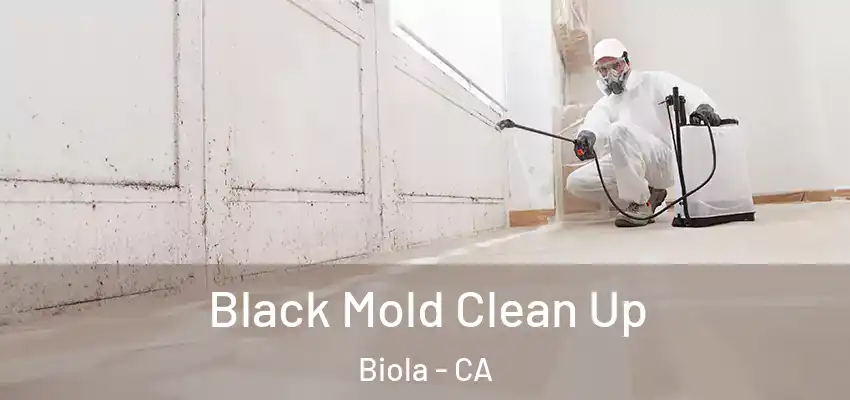  Black Mold Clean Up Biola - CA