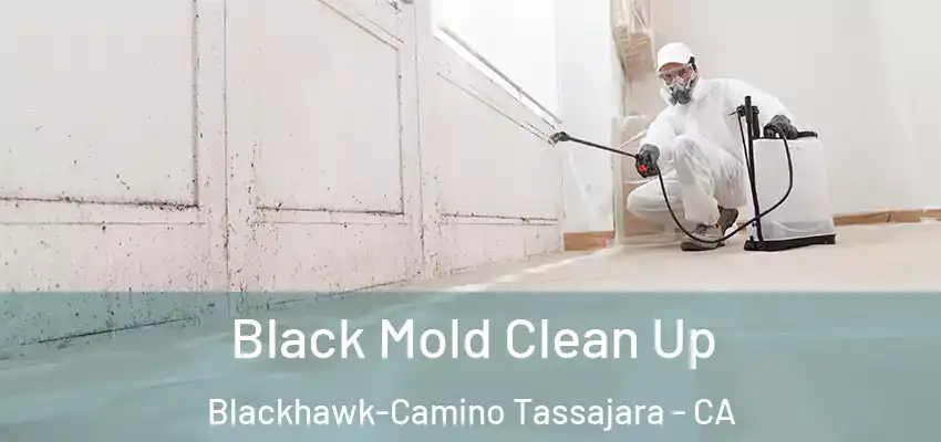  Black Mold Clean Up Blackhawk-Camino Tassajara - CA