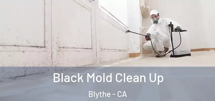  Black Mold Clean Up Blythe - CA