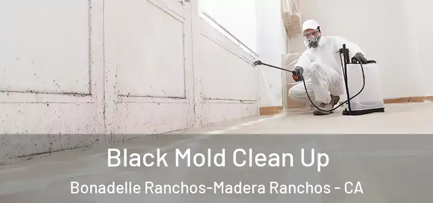  Black Mold Clean Up Bonadelle Ranchos-Madera Ranchos - CA