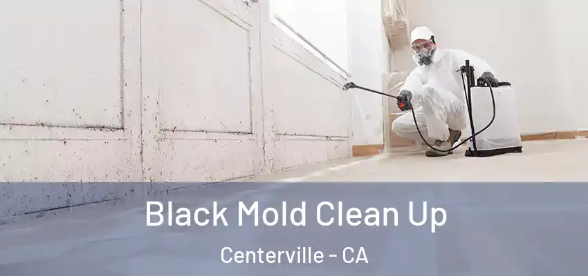  Black Mold Clean Up Centerville - CA