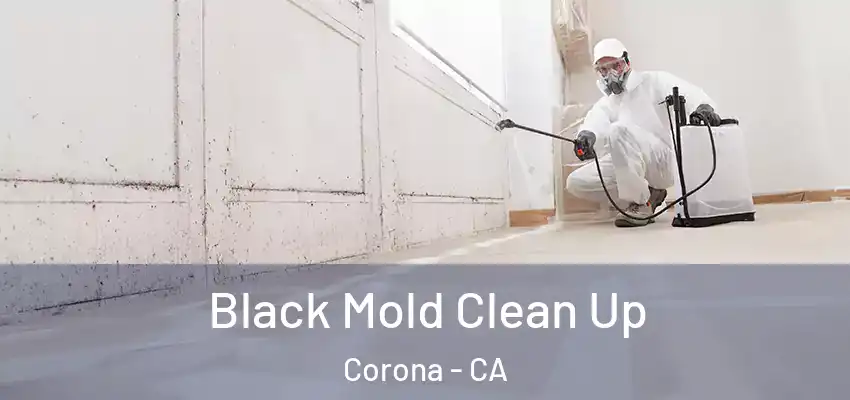  Black Mold Clean Up Corona - CA