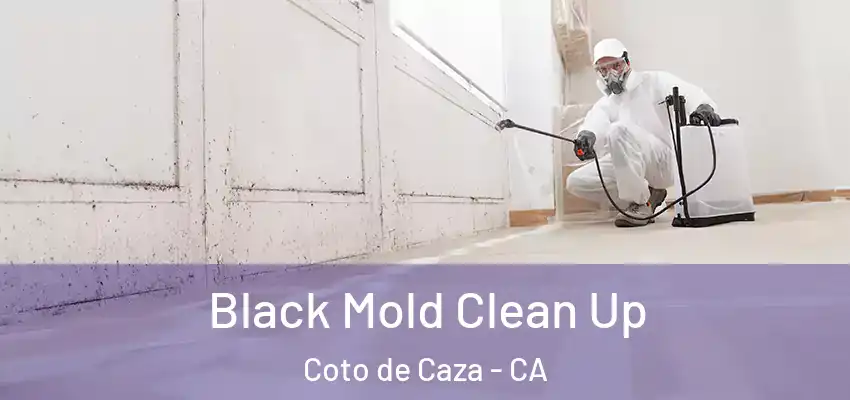  Black Mold Clean Up Coto de Caza - CA