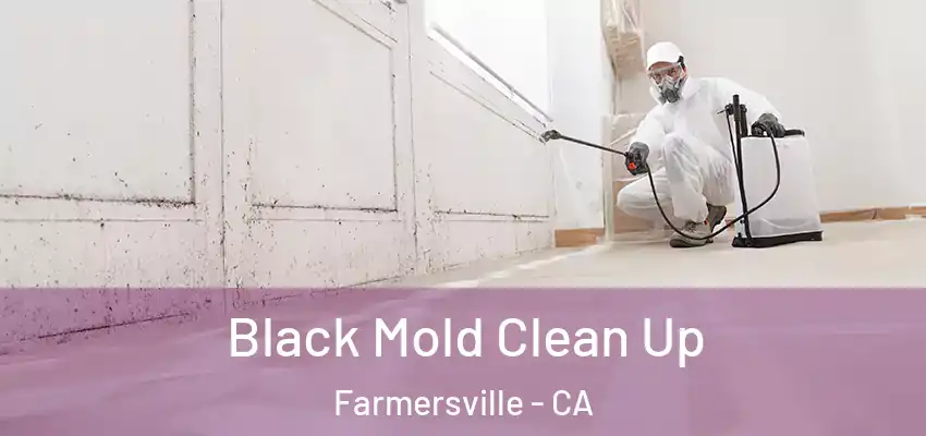  Black Mold Clean Up Farmersville - CA