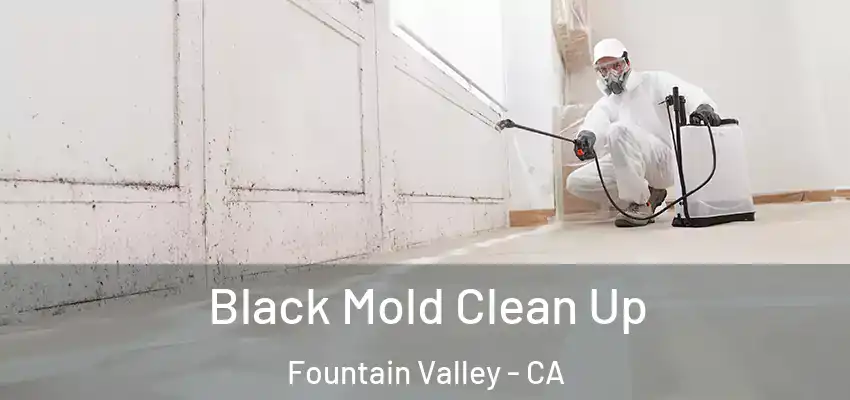  Black Mold Clean Up Fountain Valley - CA