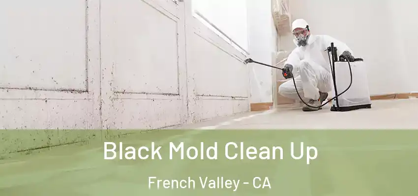  Black Mold Clean Up French Valley - CA